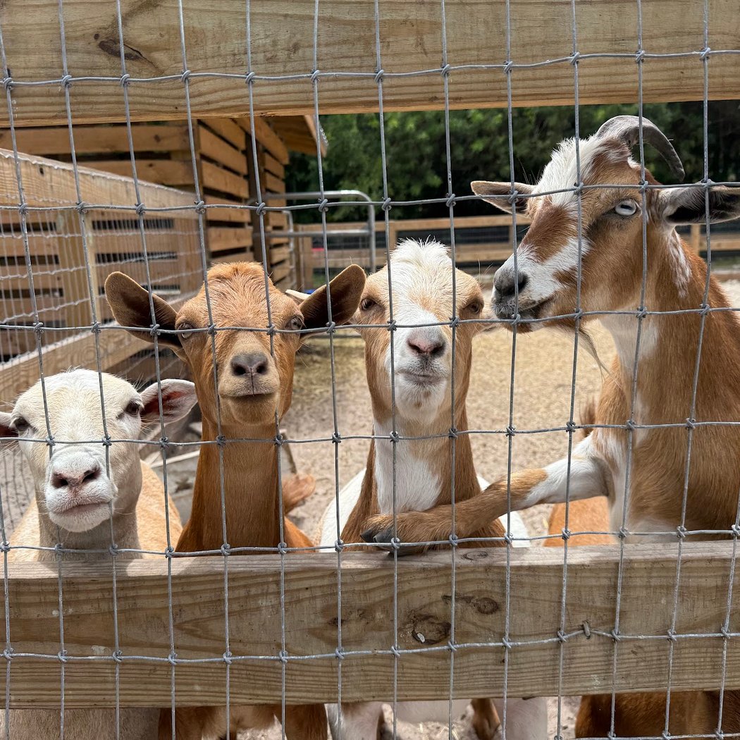 Redstone Ranch Barnyard Farmer's Market 1