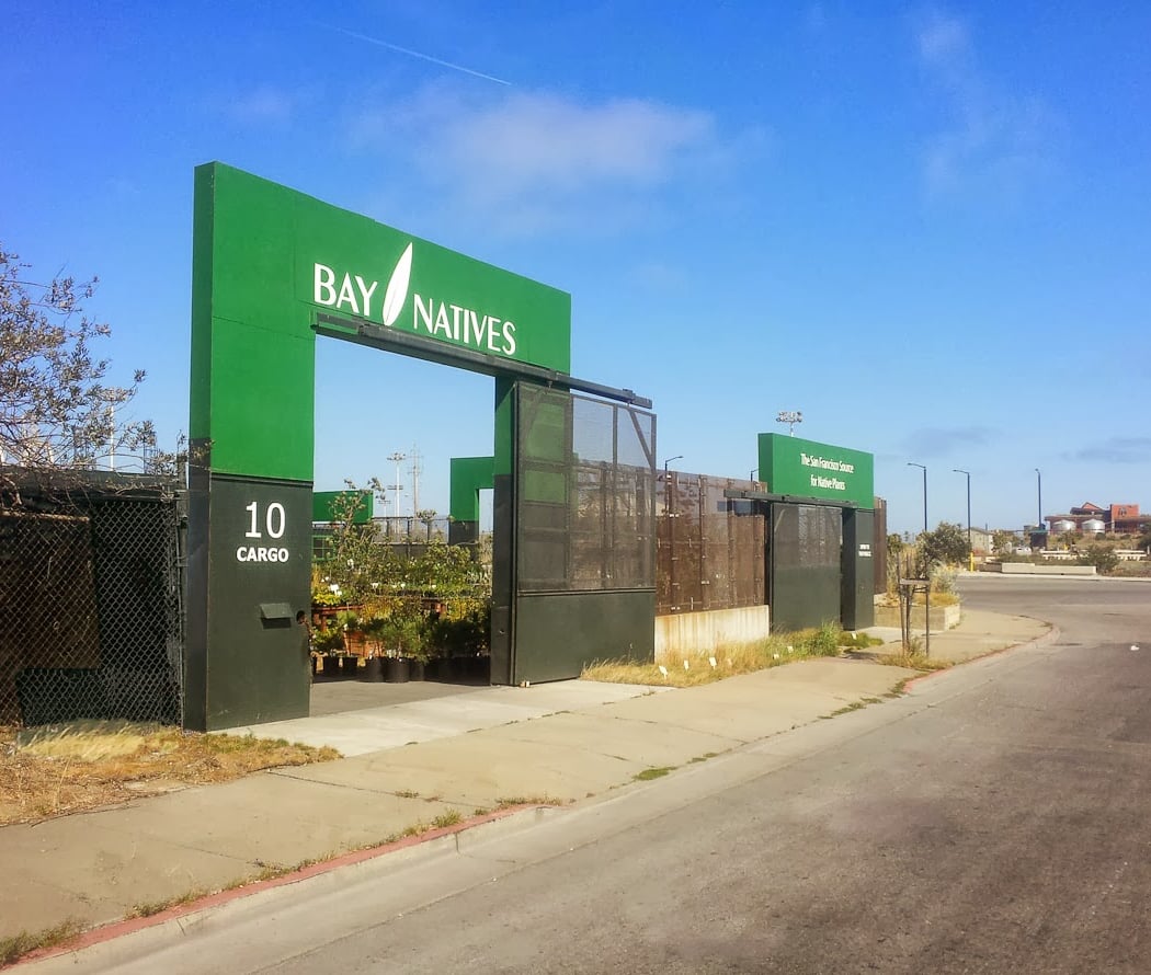 Bay Natives Nursery pop-up 2