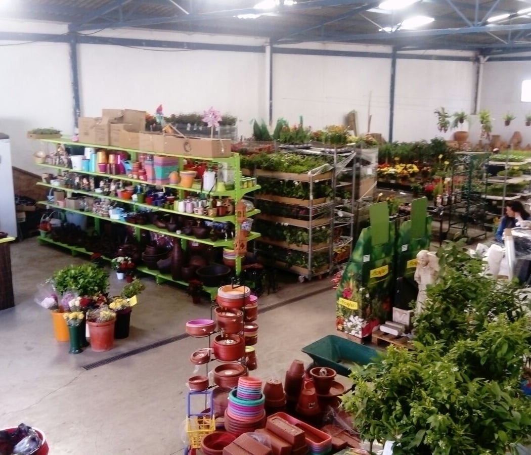 Plantas El Pino-vivero 4