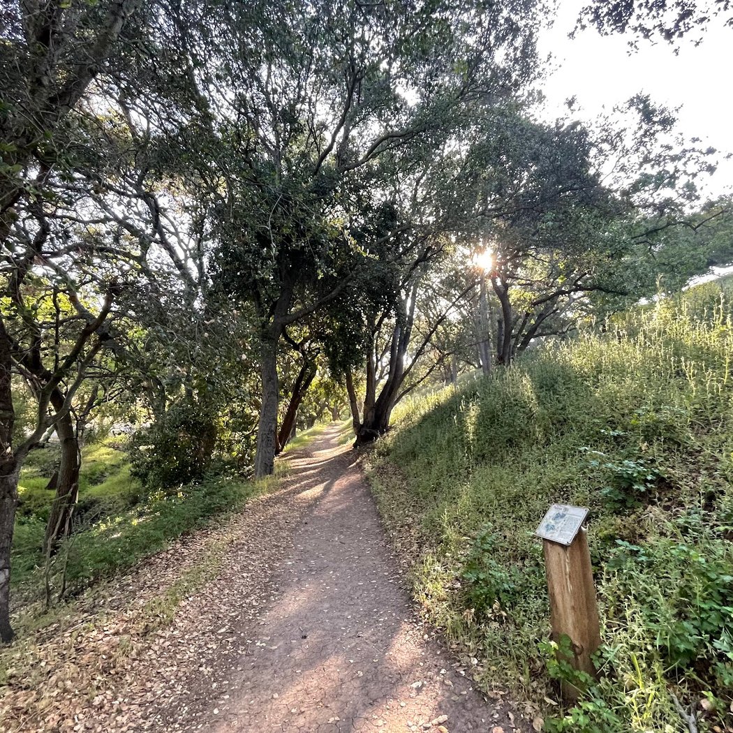 Spring Valley Trail 3