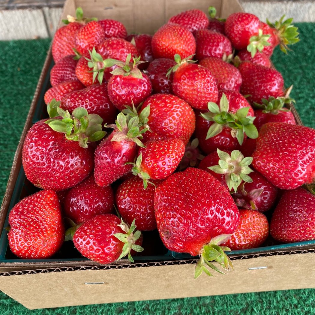 Lao Strawberries 1