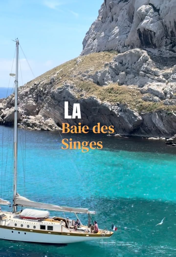 Restaurant La Baie des Singes 2