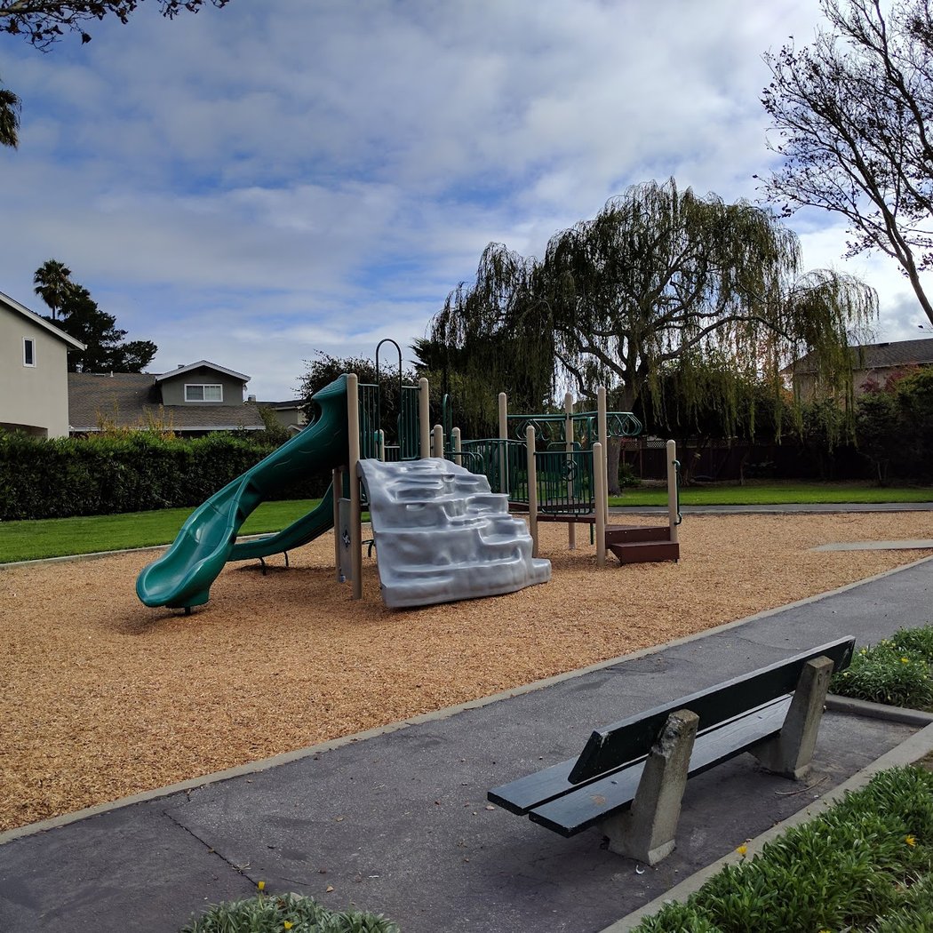Shad Park 1