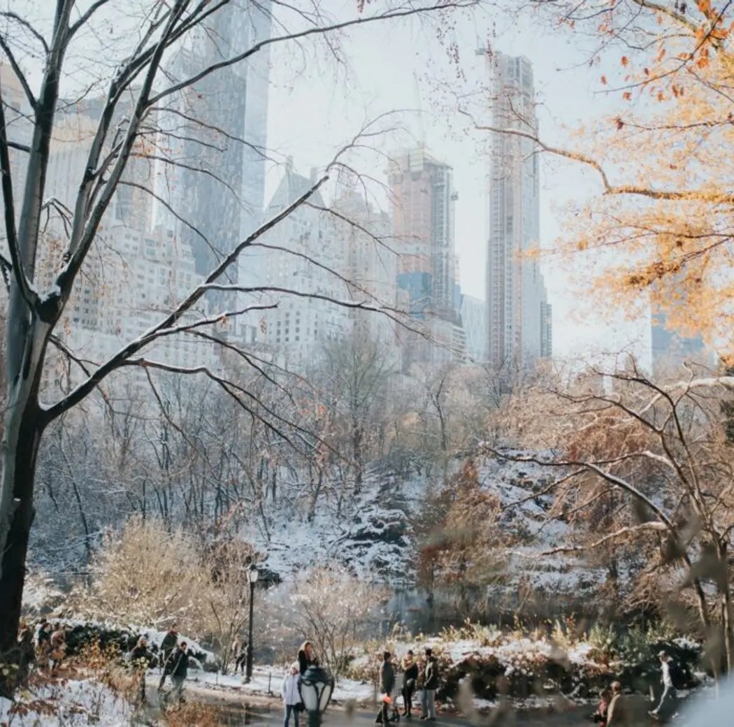 Central Park 2