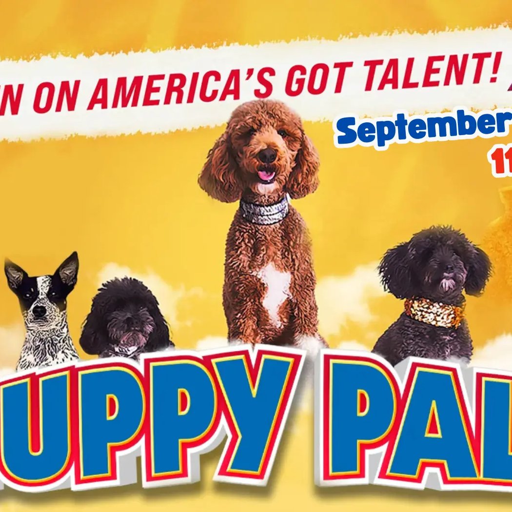 Puppy Pals Live! The Action-Packed Comedic Stunt Dog Show