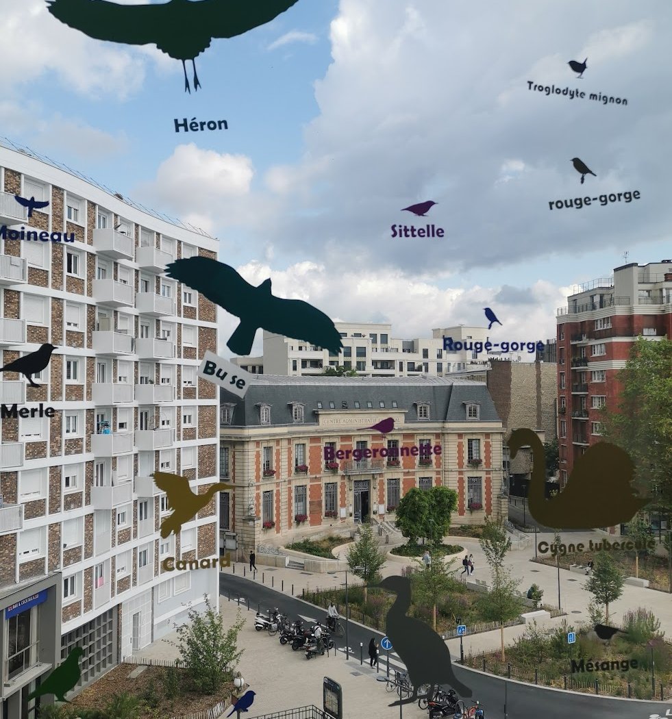 Calici est les Oiseaux 1