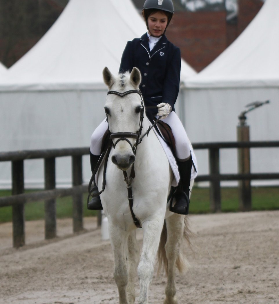 Poney-Club Saint Germain Fourqueux 1