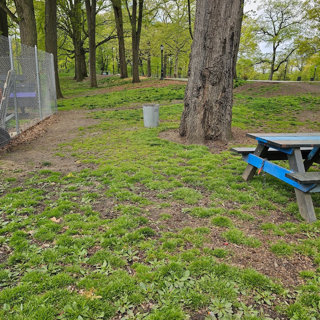 Highland Park Bulb Planting 2