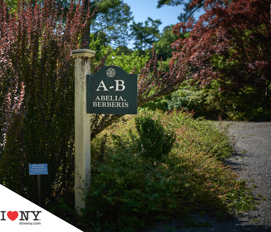 Step into one of the most unique gardens in the region with Arboretum Director and expert horticulturist Vincent Simeone 2