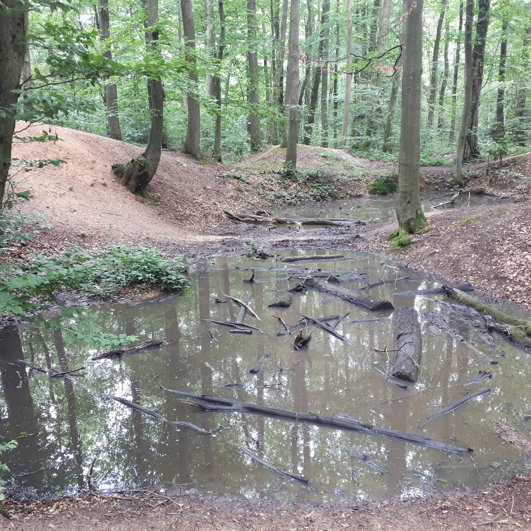 Spot for mountain biking 3
