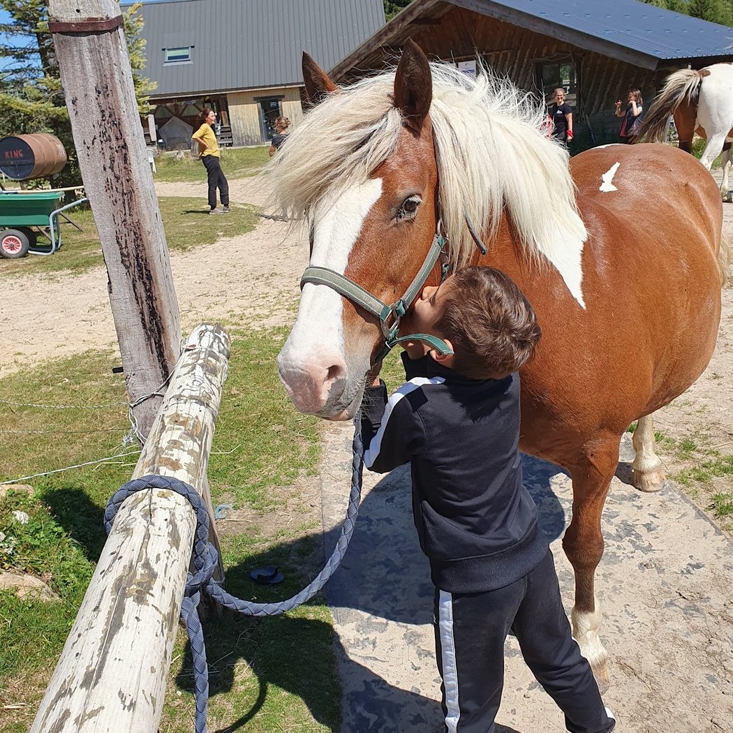 Cercle Equestre Volte Face 2
