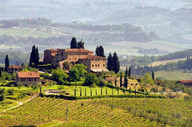Wine 201: Tuscany with David Weitzenhoffer 1