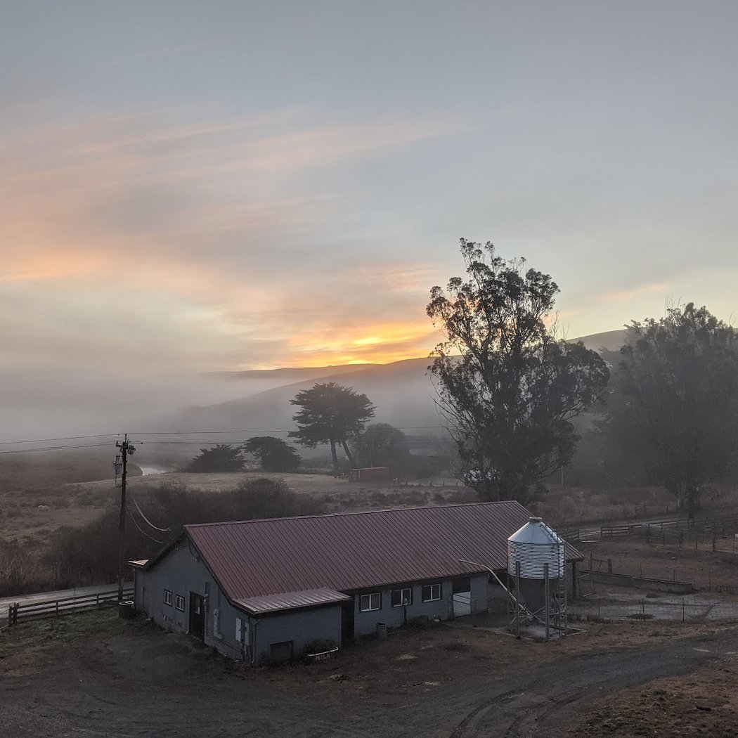 Toluma Farms & Tomales Farmstead Creamery 5
