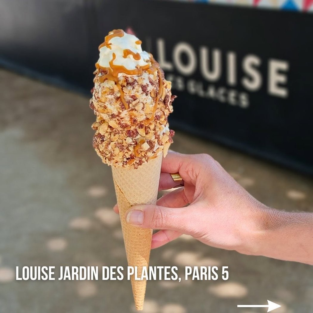 Louise glaces Jardin des Plantes 2
