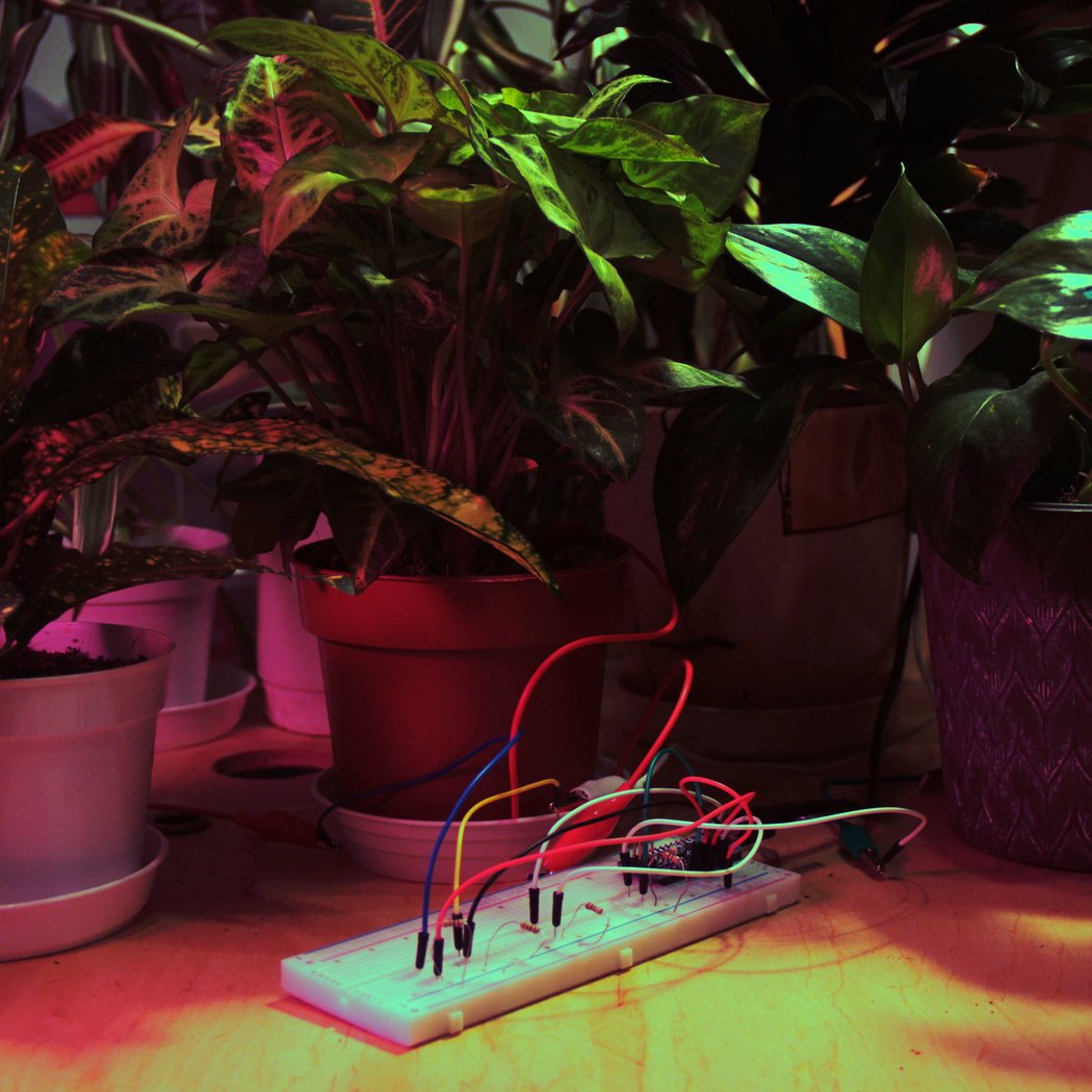Botanical Soundscape 2
