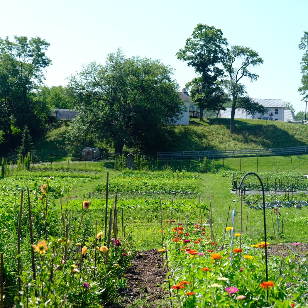 Gorman Heritage Farm 1