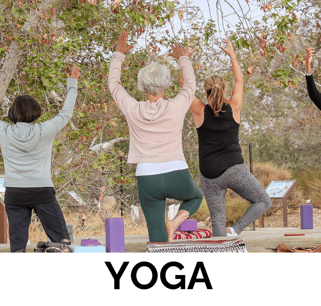 Adult Yoga (Summer 2026) 1