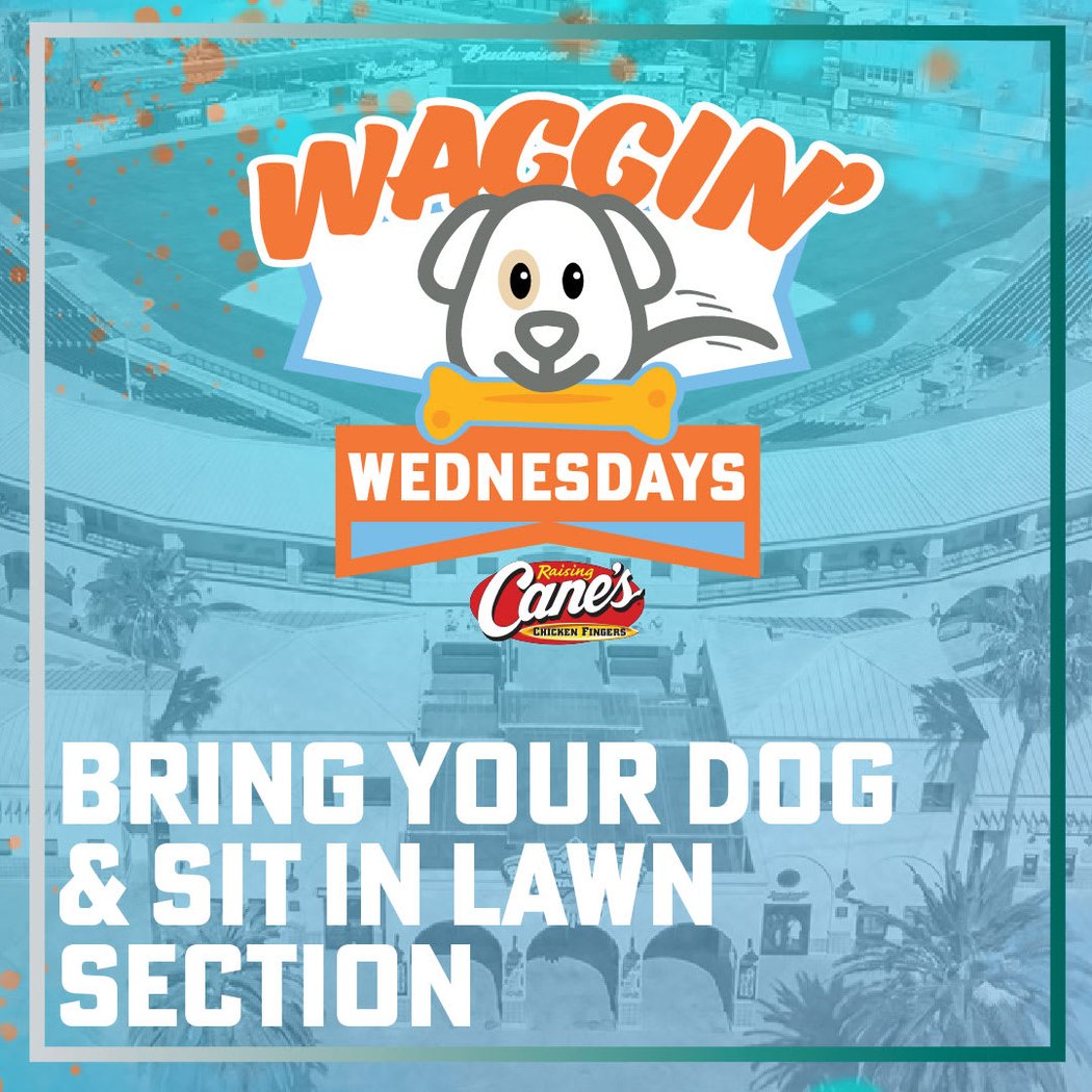 Waggin' Wednesday: Inland Empire 66ers vs. Stockton Ports