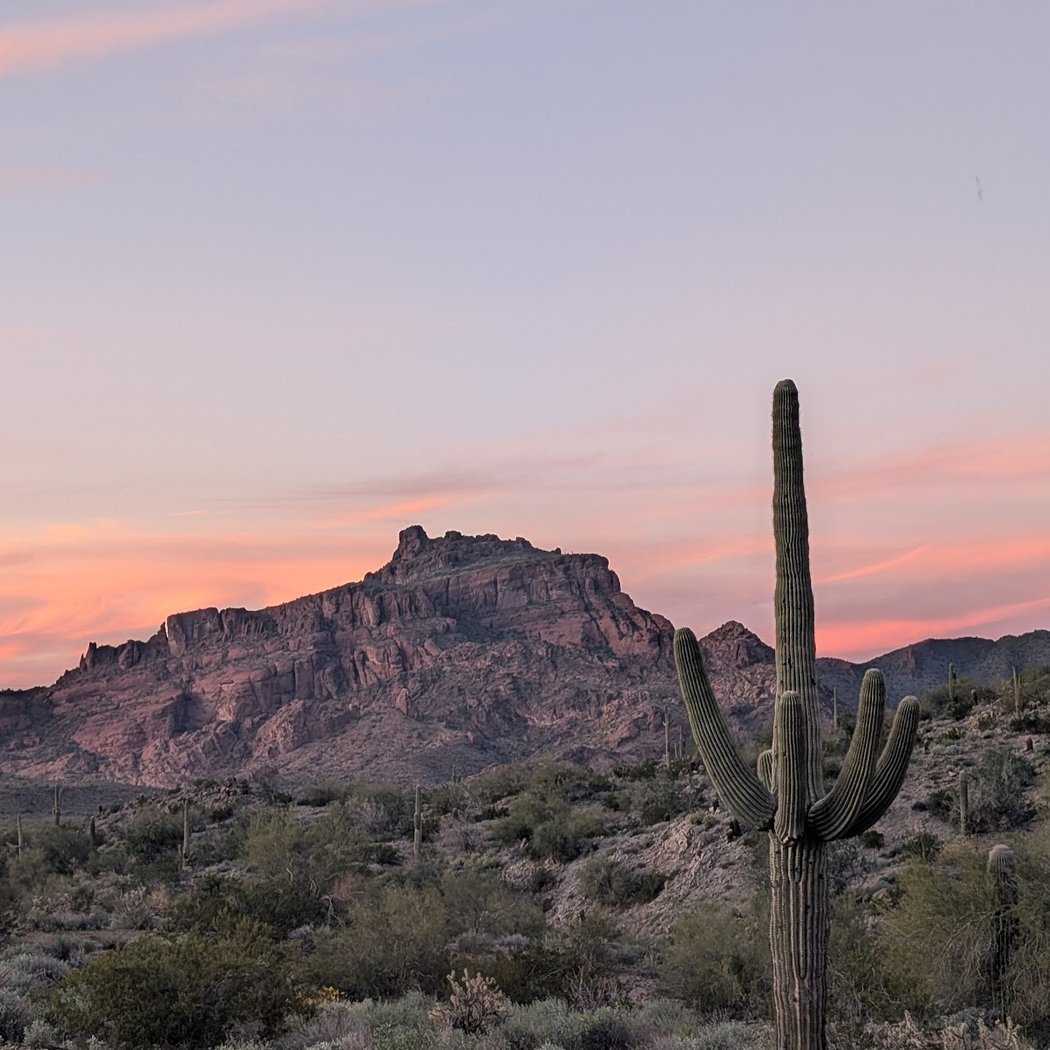Salt River 3
