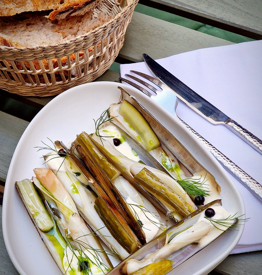 O'CANOTIER 1