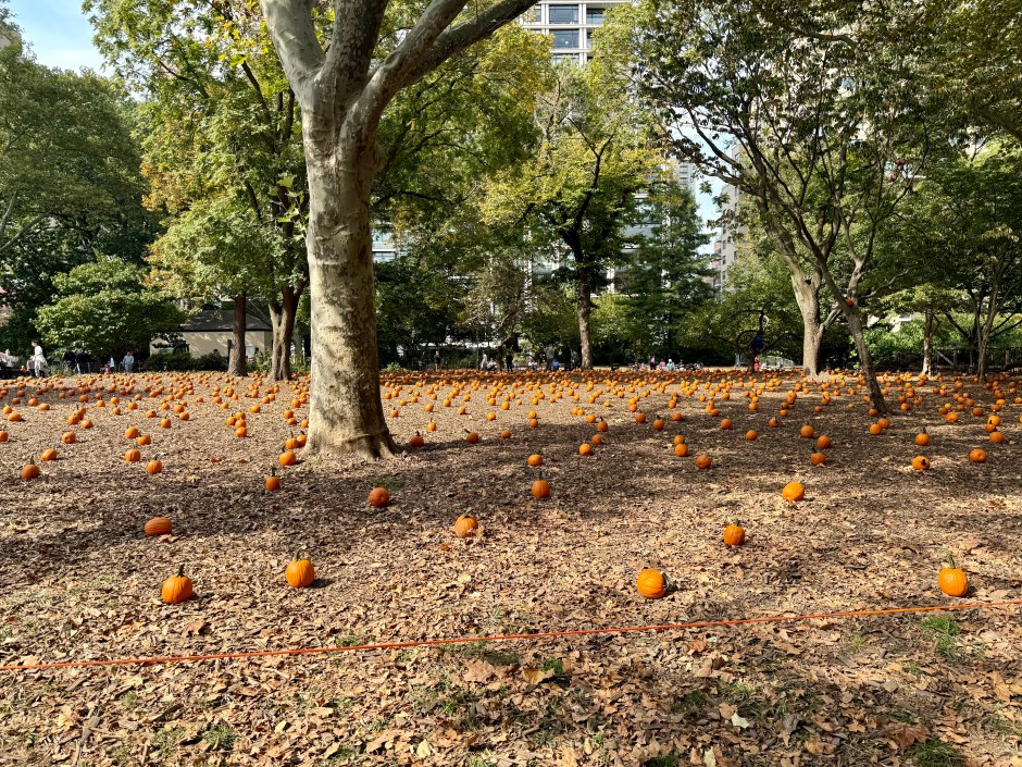 Carl Schurz Park 3