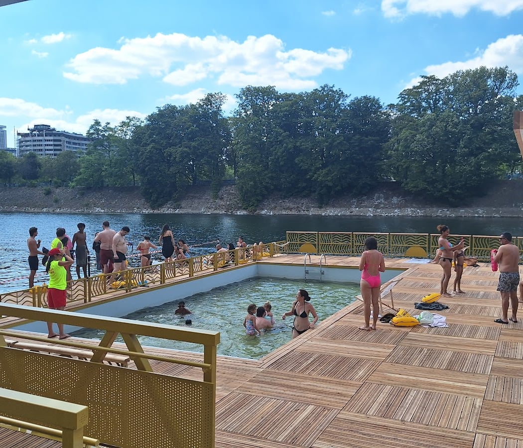 Swimming in the Seine 2