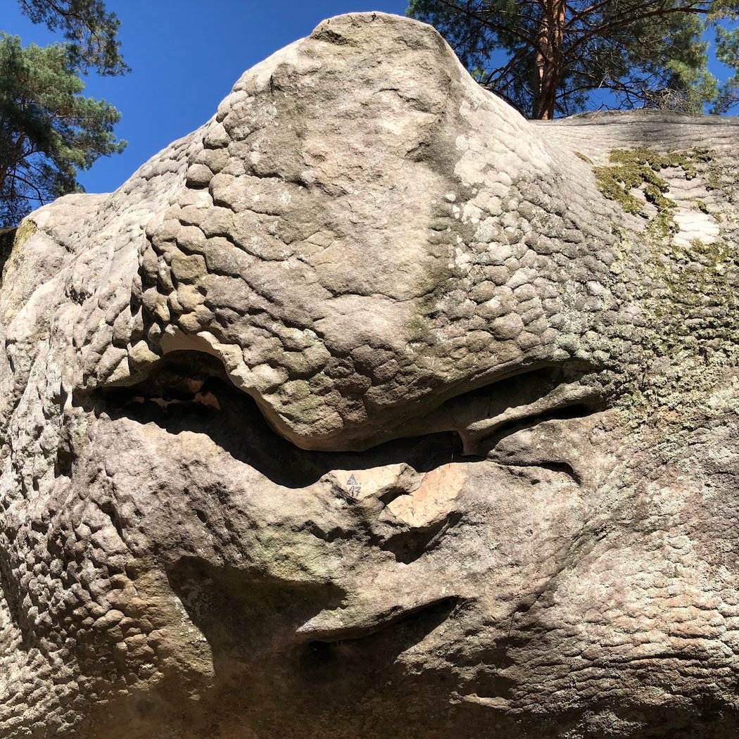Apremont : Butte aux dames 3