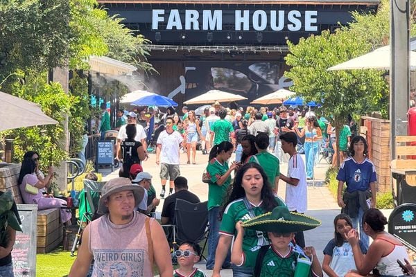 FIFA World Cup Final Watch Party 1