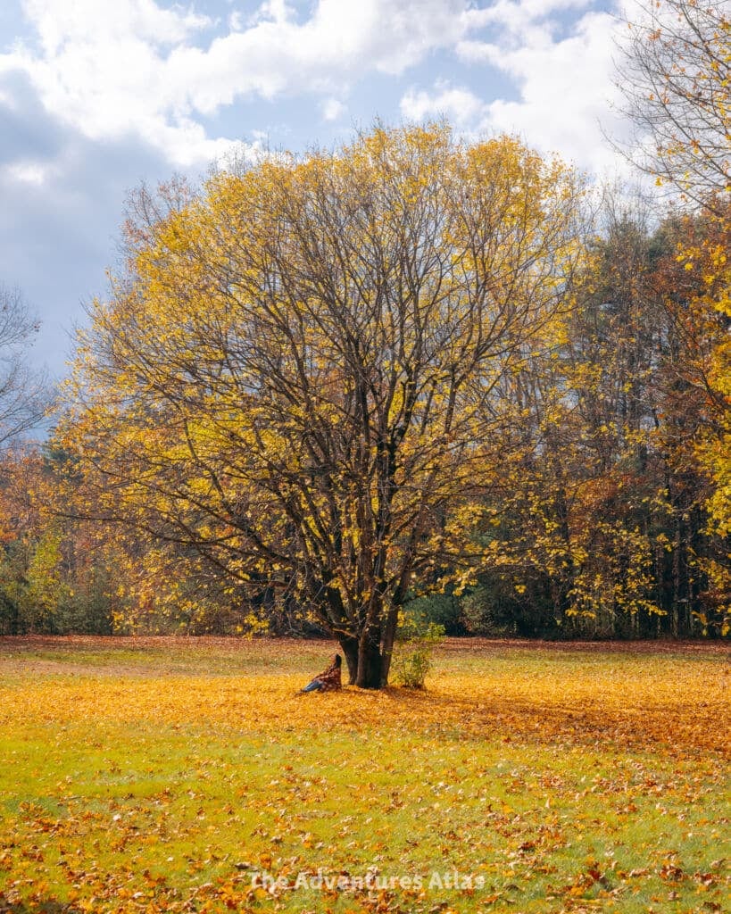 Saratoga Spa State Park 5
