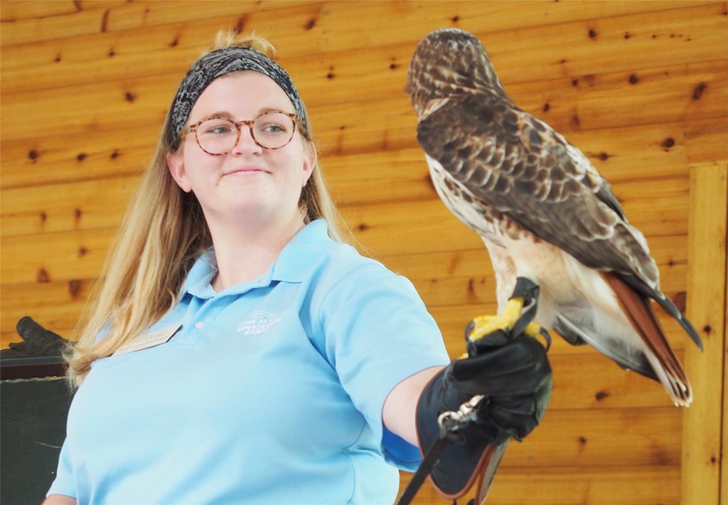 Animal Adventures Summer Camp 2