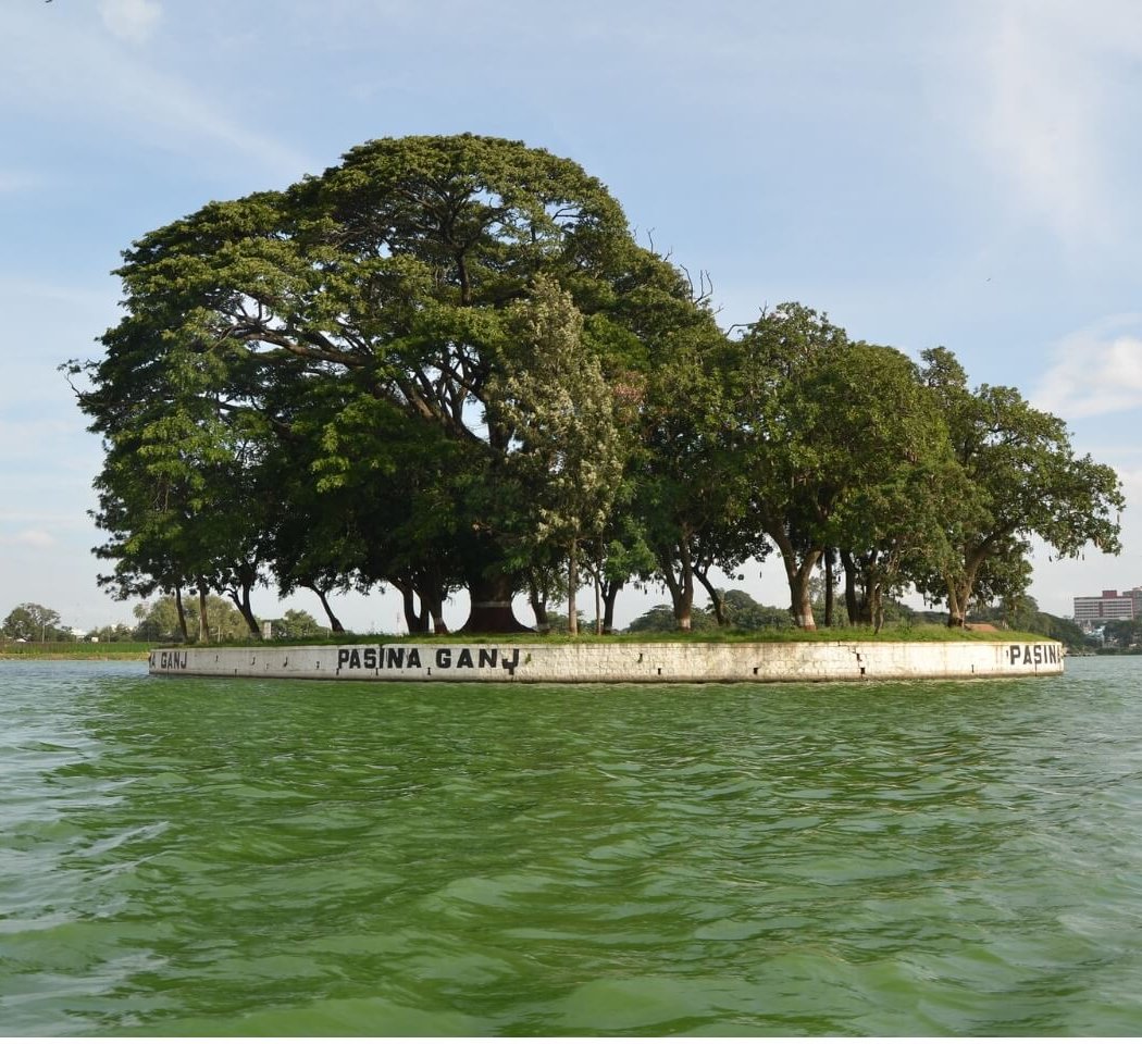 Ulsoor Lake 2