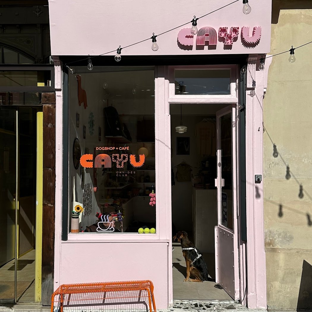 CAYU Canidés Club 2