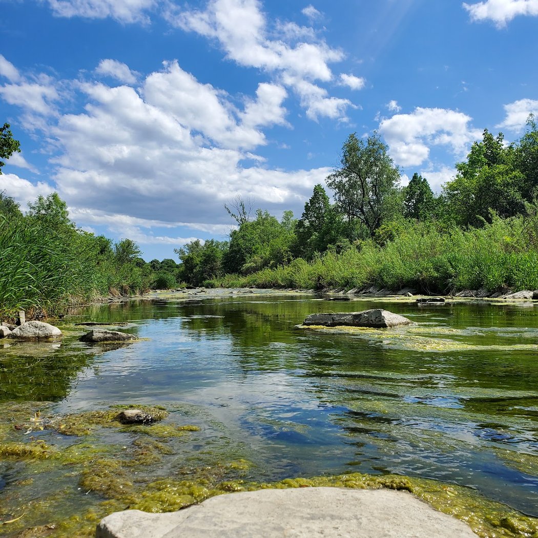 Humber River Recreational Trail 2