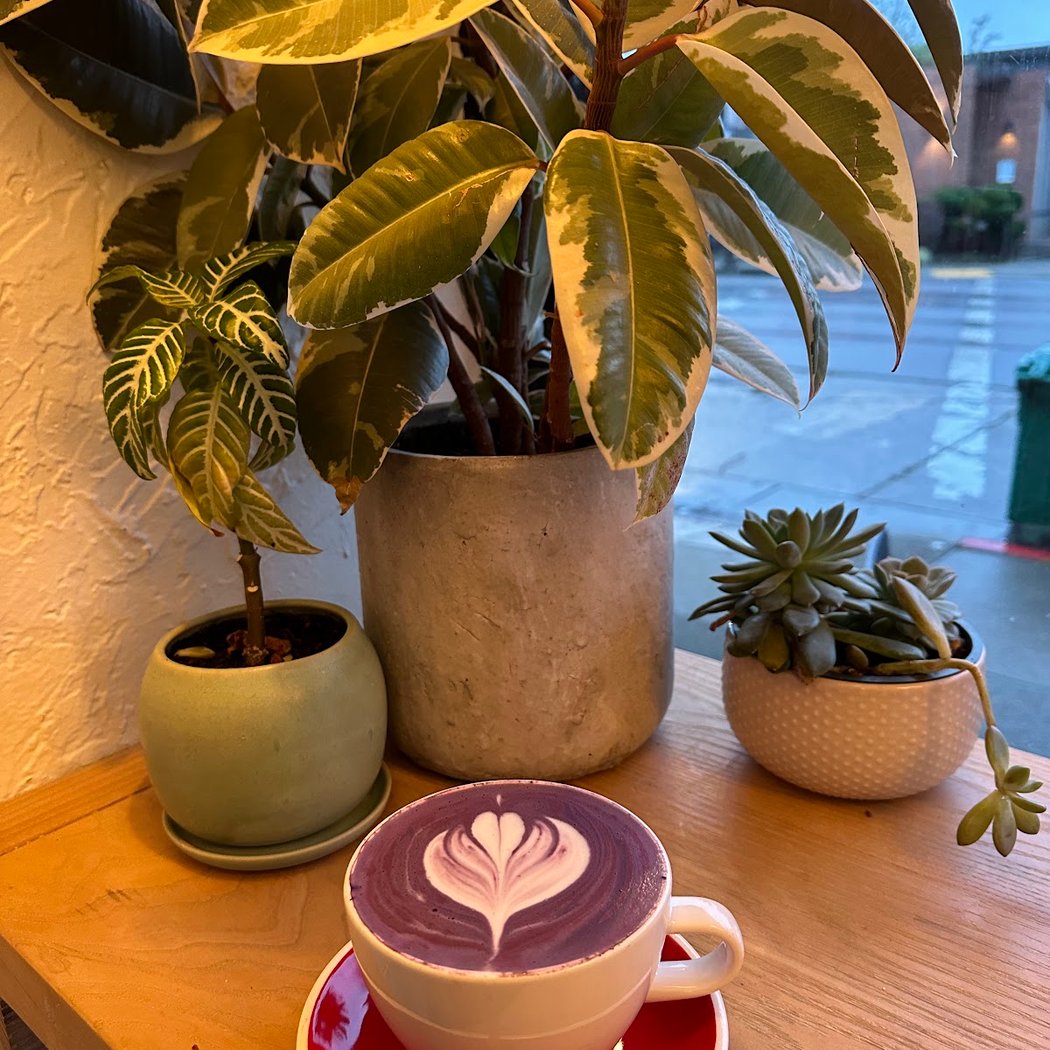 SIGNAL Coffee Roasters 1