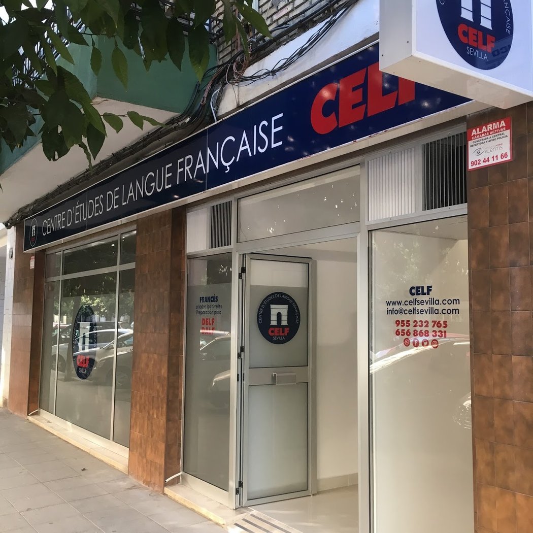 CELF Sevilla 2