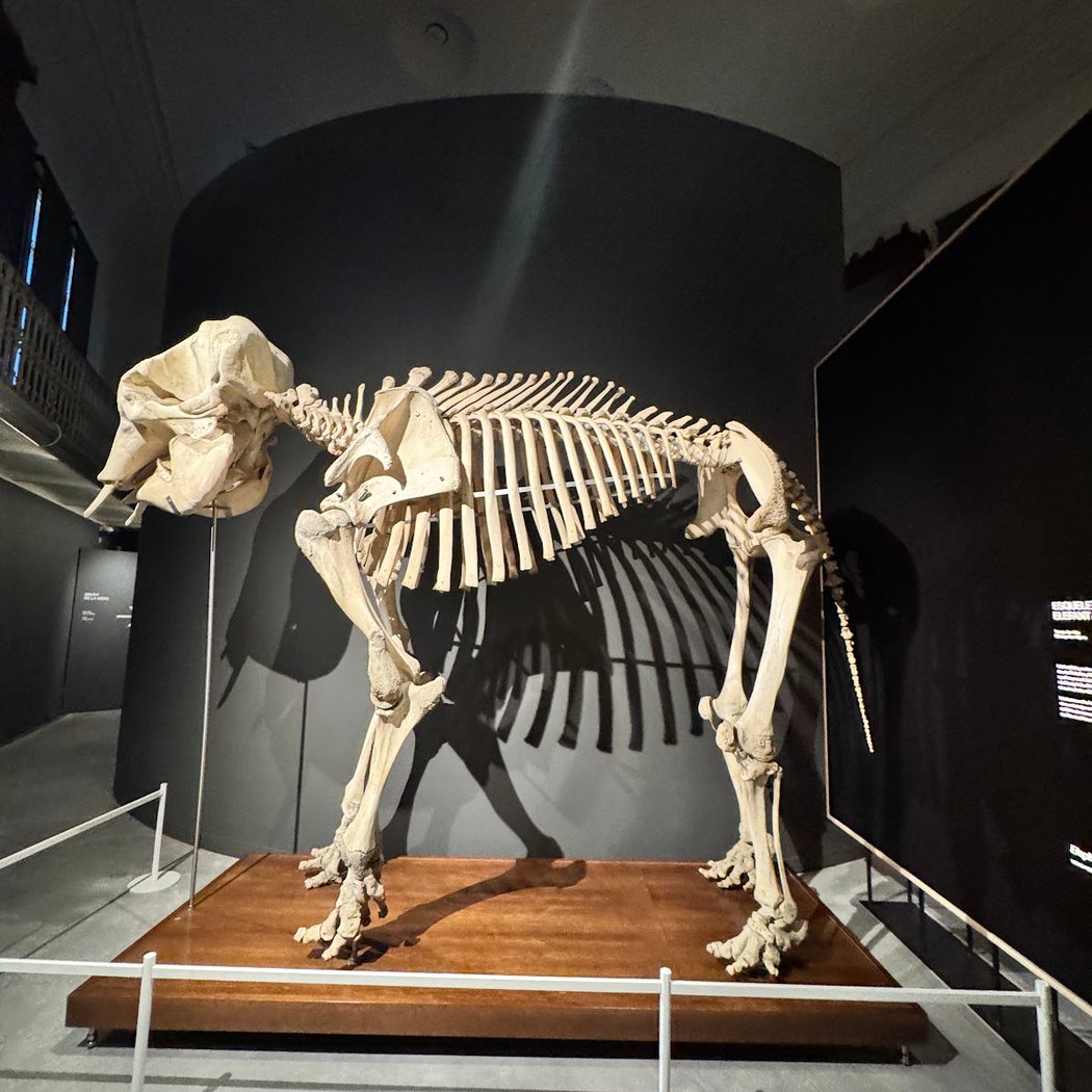 Museu Centre Martorell d'Exposicions 3