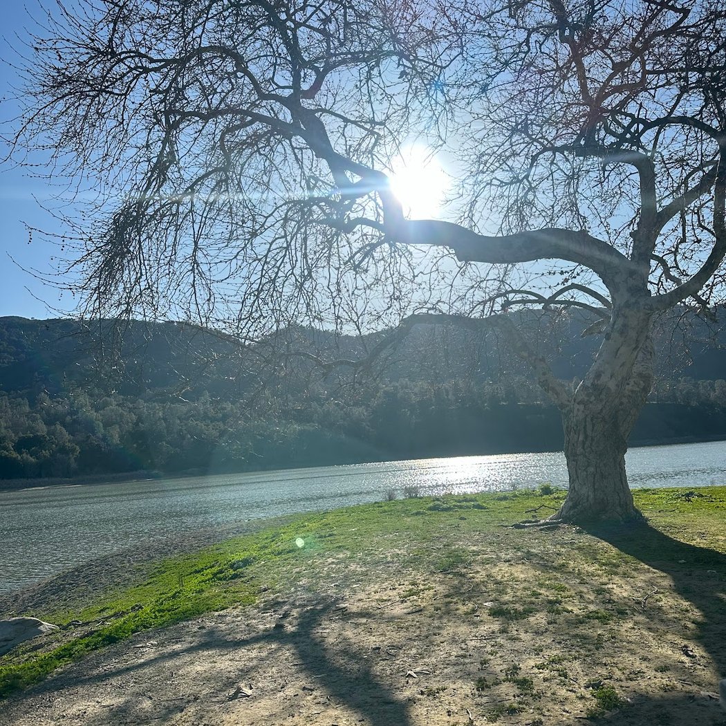 Del Valle West Swim Beach 2