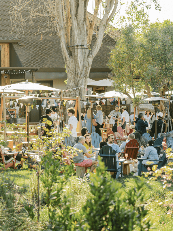 Treehouse Hotel Silicon Valley 3