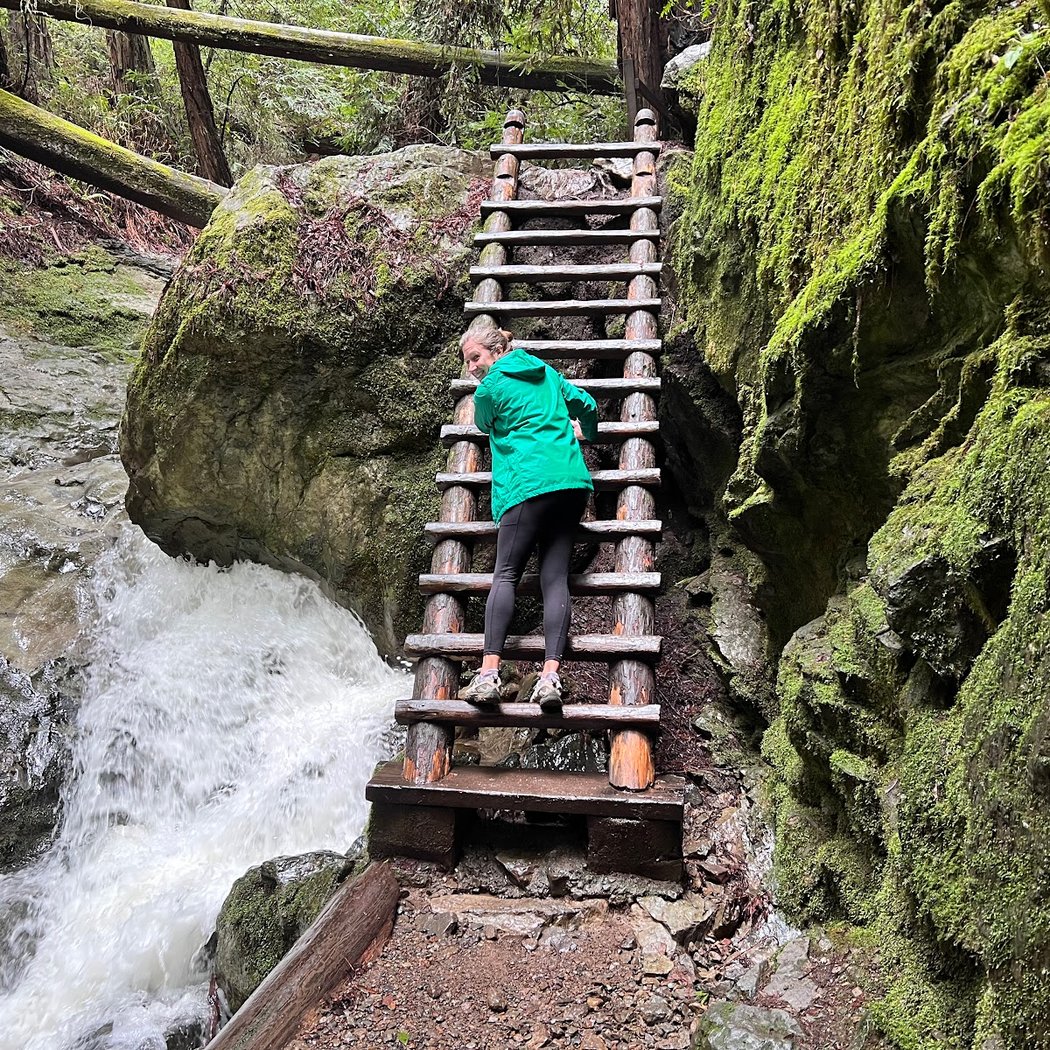 Steep Ravine Trail and Dipsea Trail Junction 1