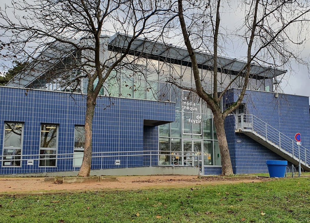 Library De Feyzin 1