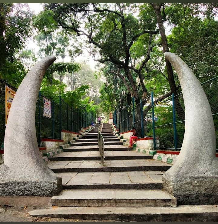 Bugle Rock Park 2
