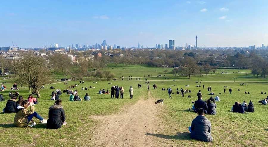 Primrose Hill 1