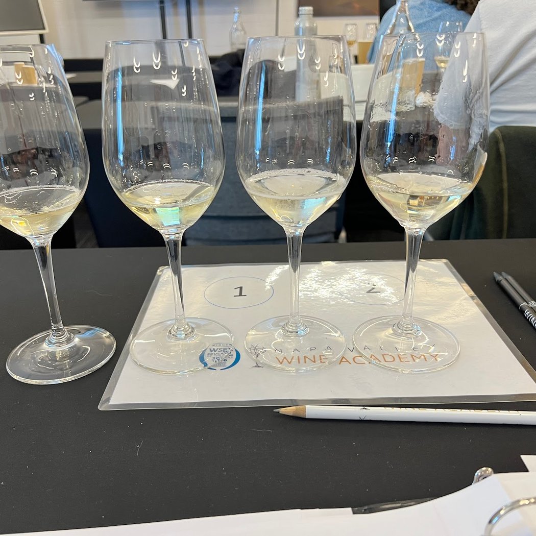 Ana Diogo-Draper at Napa Valley Wine Academy 2