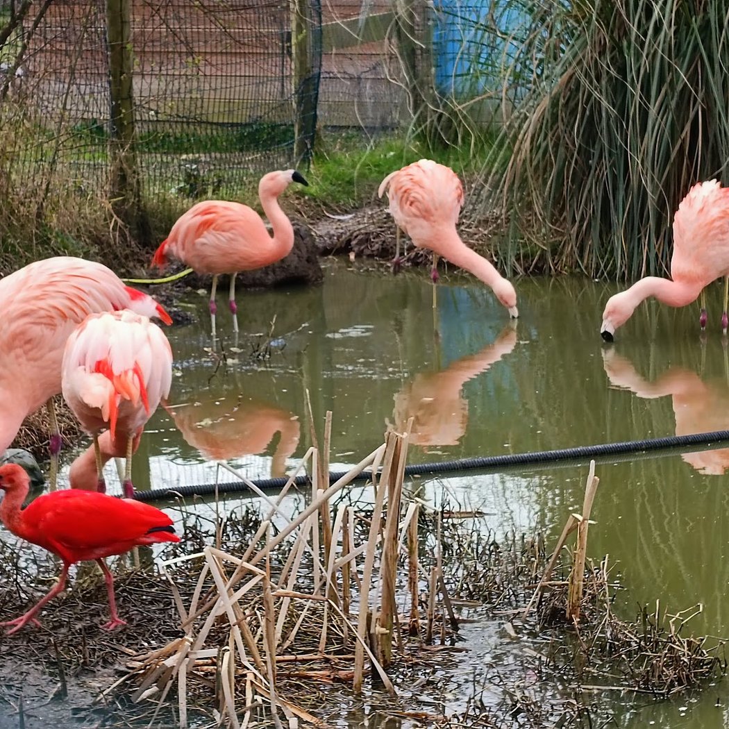 Exotic Park, zoo de Lescar 2