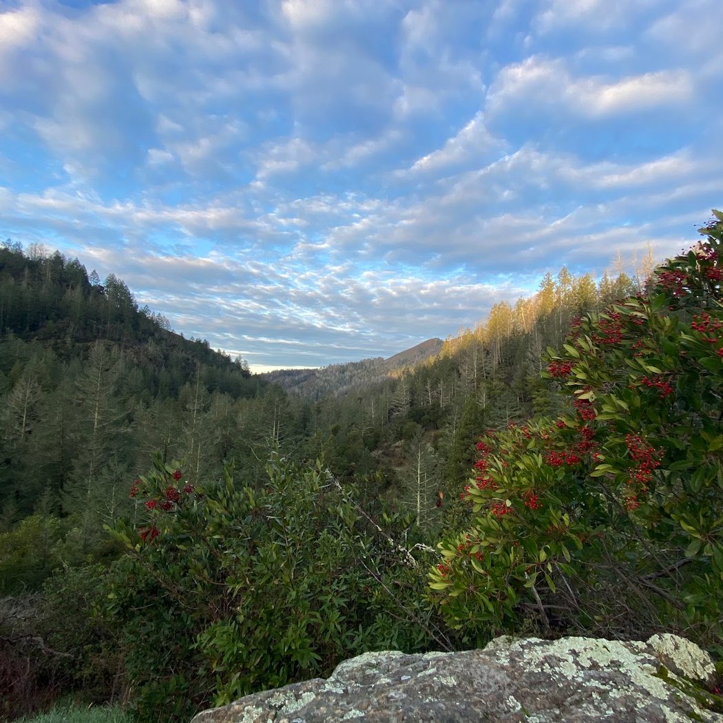 November Hike with John Lynch 3
