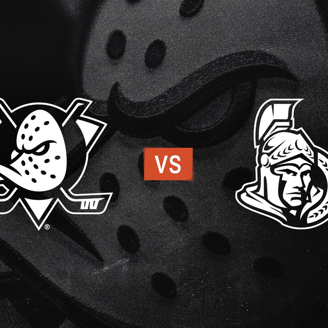 Ducks vs. Senators 3