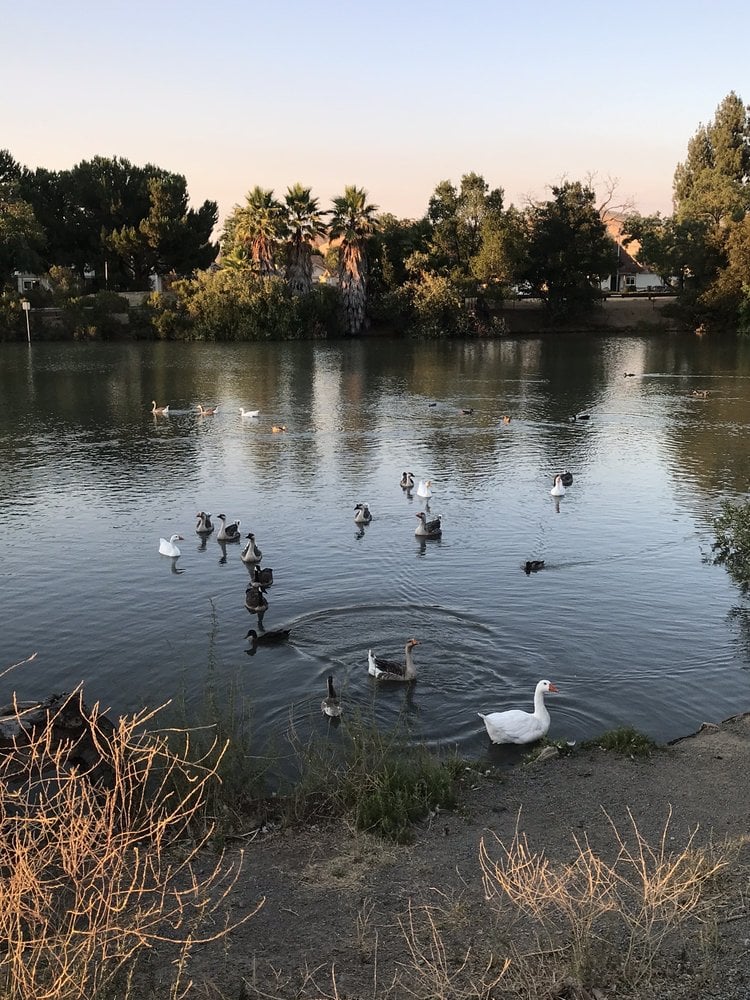 Newhall Community Park 3