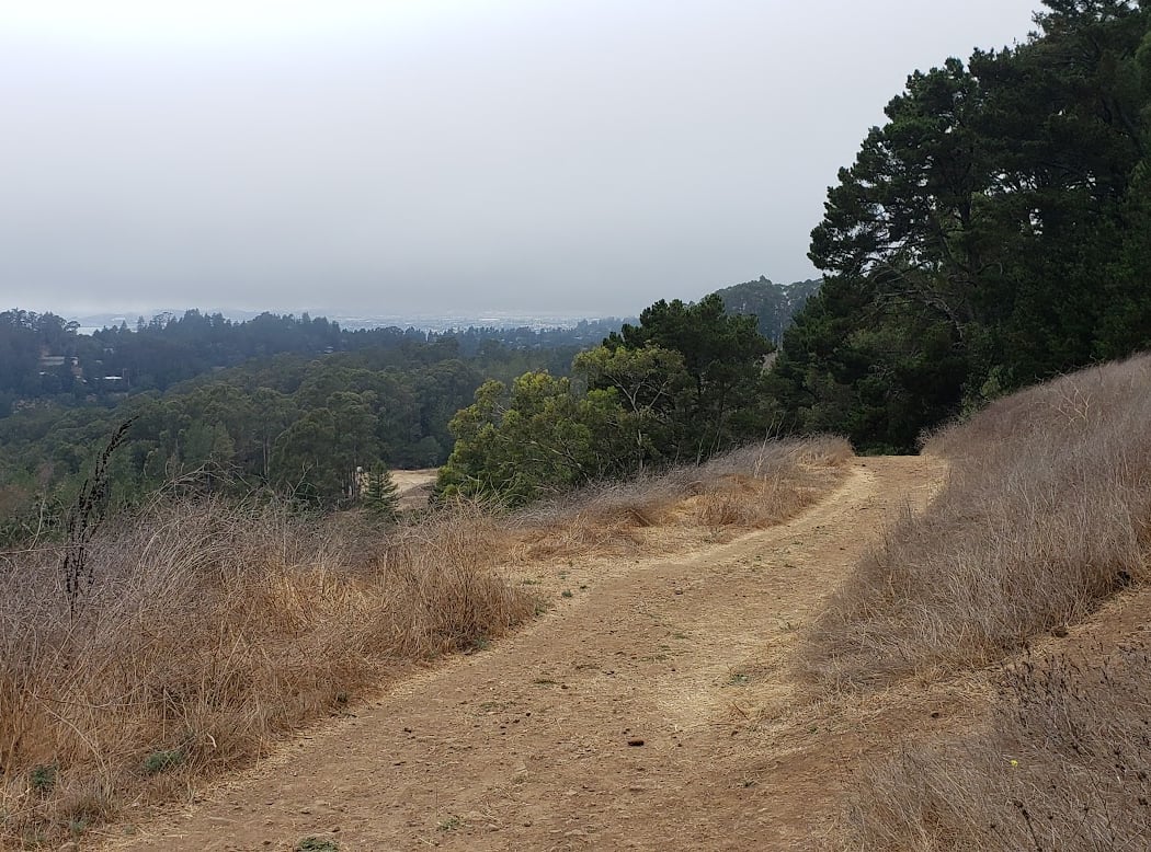 Seaview Trail 2