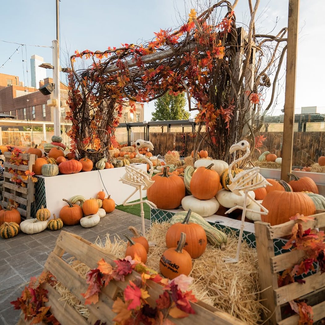 Cityside Pumpkin Patch 2