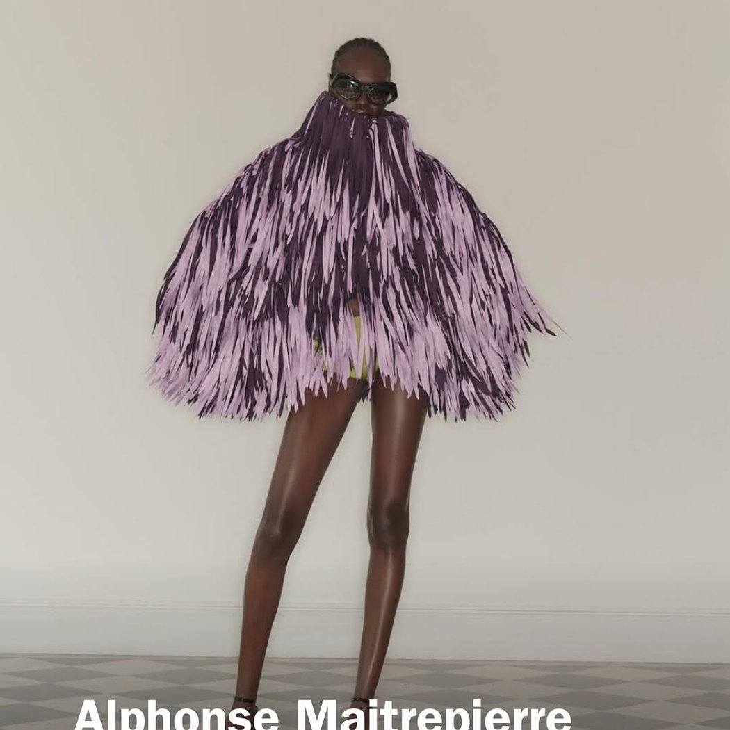 Alphonse Maitrepierre 1